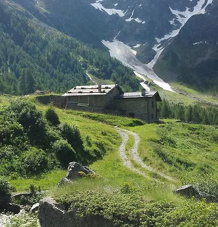 Zepp Διαμέρισμα *