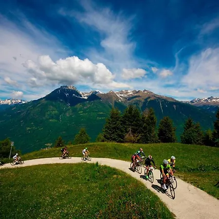 Zepp Διαμέρισμα *